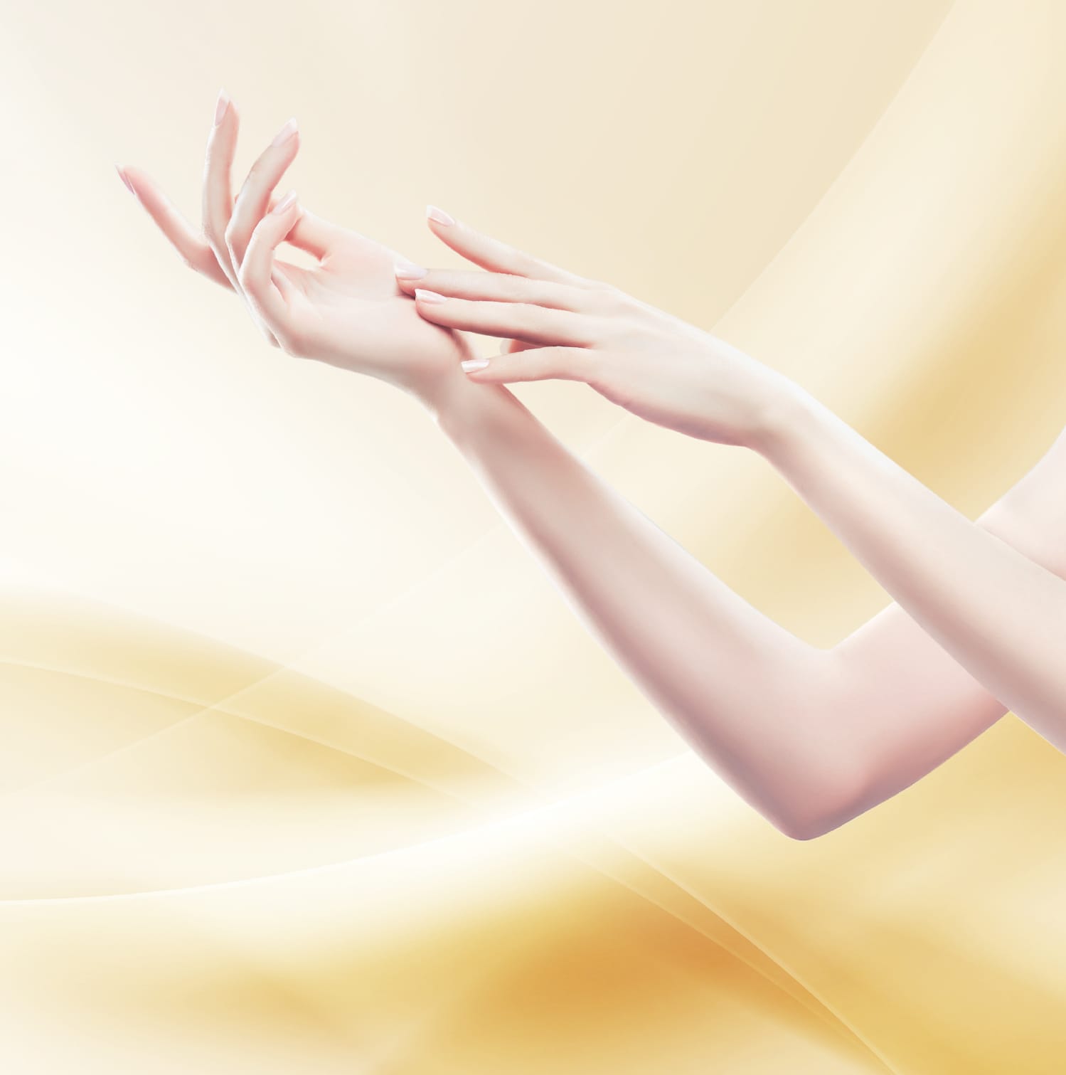 しなやかに潤う、その先へ。